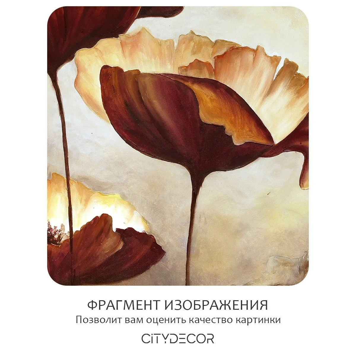 Фотообои рулонные Citydecor Цветы и Растения 79 на флизелиновой основе 400x260 см