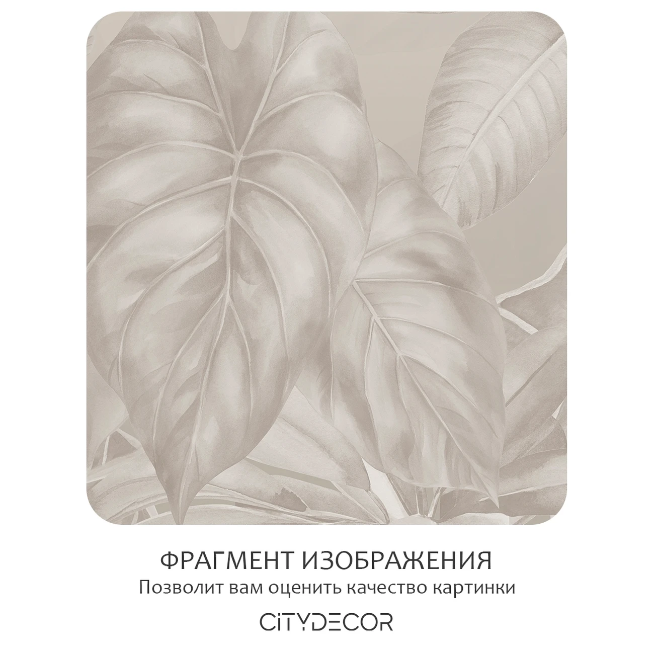 Фотообои рулонные Citydecor Flower town 35 на флизелиновой основе 400x260 см