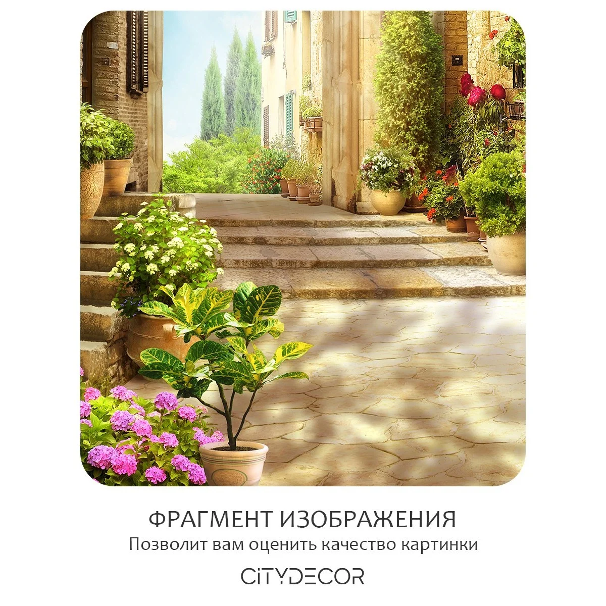 Фотообои рулонные Citydecor Фреска 37 на флизелиновой основе 400x260 см