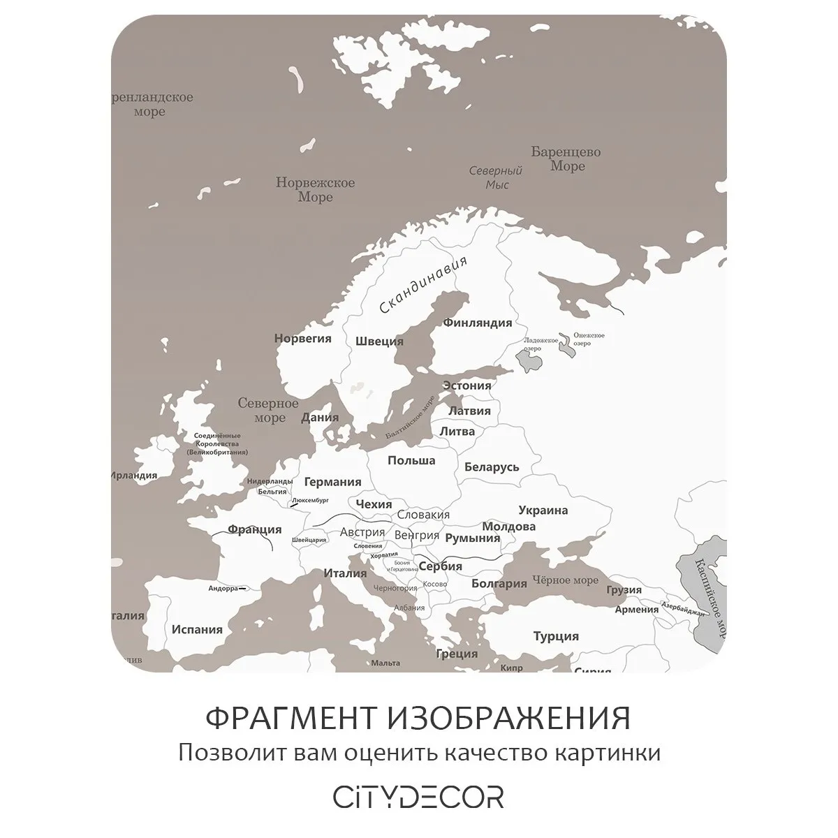 Фотообои рулонные Citydecor Карта мира 25 на флизелиновой основе 400x260 см