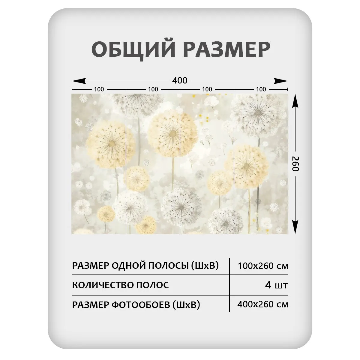 Фотообои рулонные Citydecor Невесомость 47 на флизелиновой основе 400x260 см