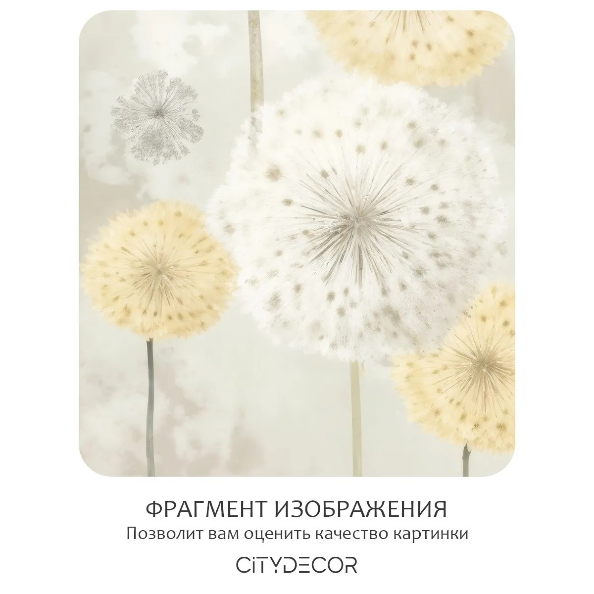 Фотообои рулонные Citydecor Невесомость 47 на флизелиновой основе 400x260 см