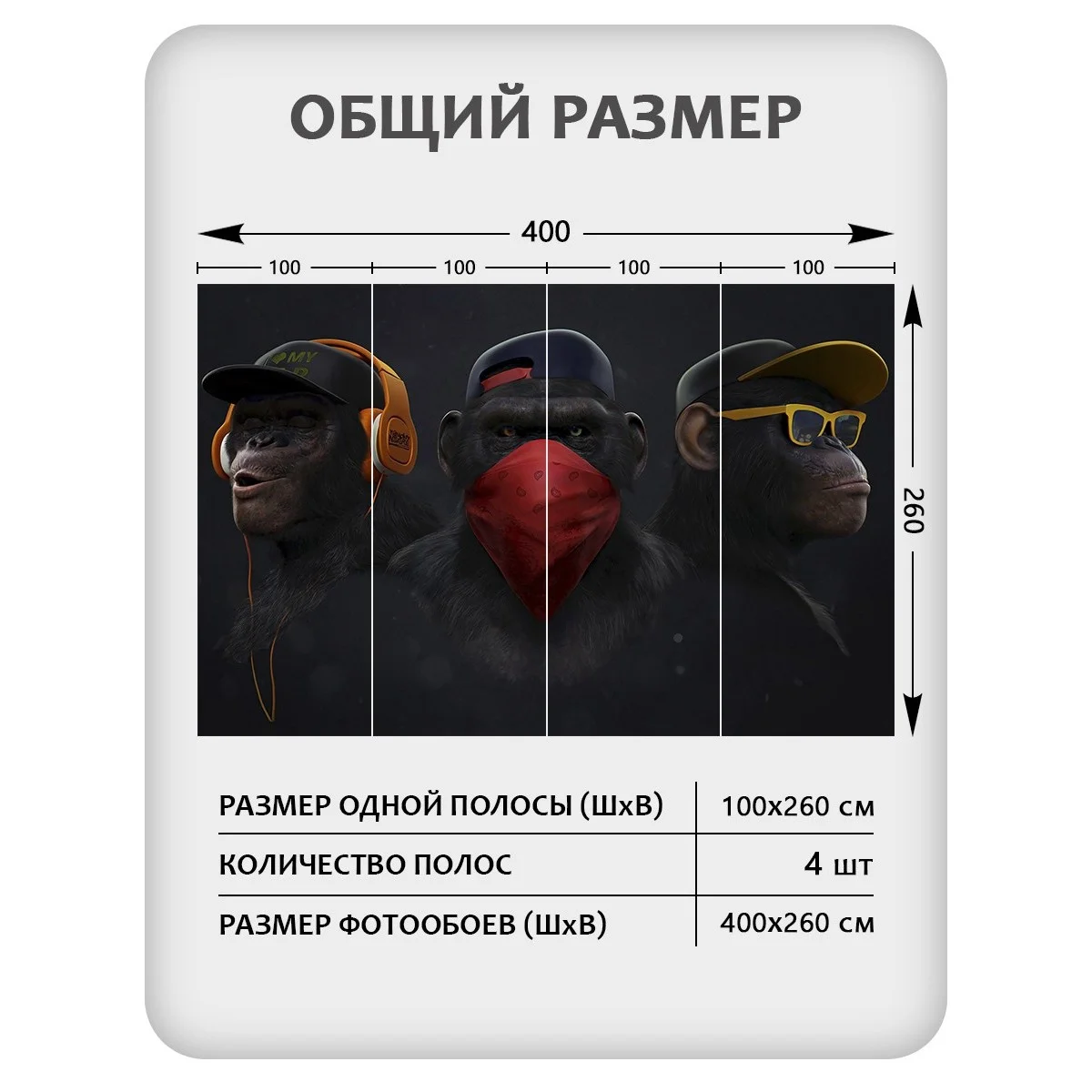 Фотообои рулонные Citydecor Люди и Знаменитости 4 на флизелиновой основе 400x260 см