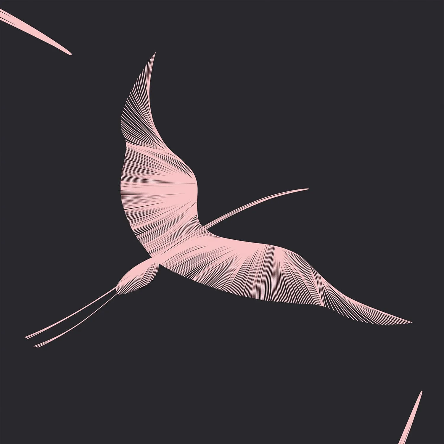 Дизайнерские фотообои рулонные Citydecor Perfect Lines 13 на флизелиновой основе 400x260 см