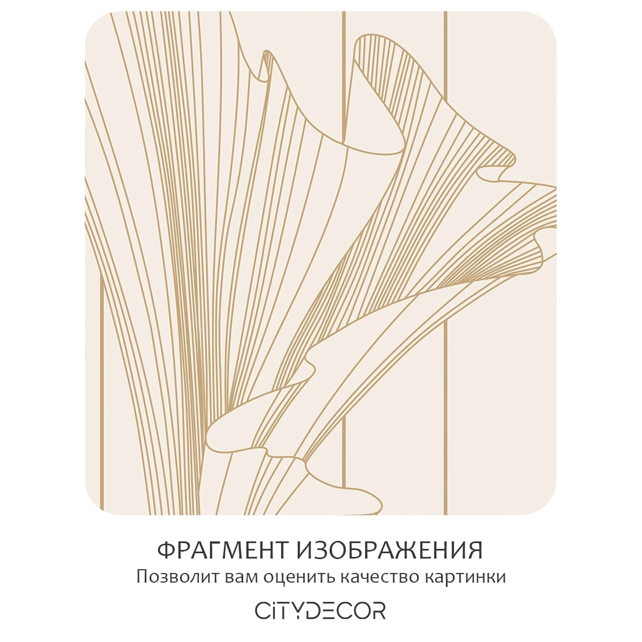 Фотообои рулонные Citydecor Perfect Lines 47 на флизелиновой основе 400x260 см