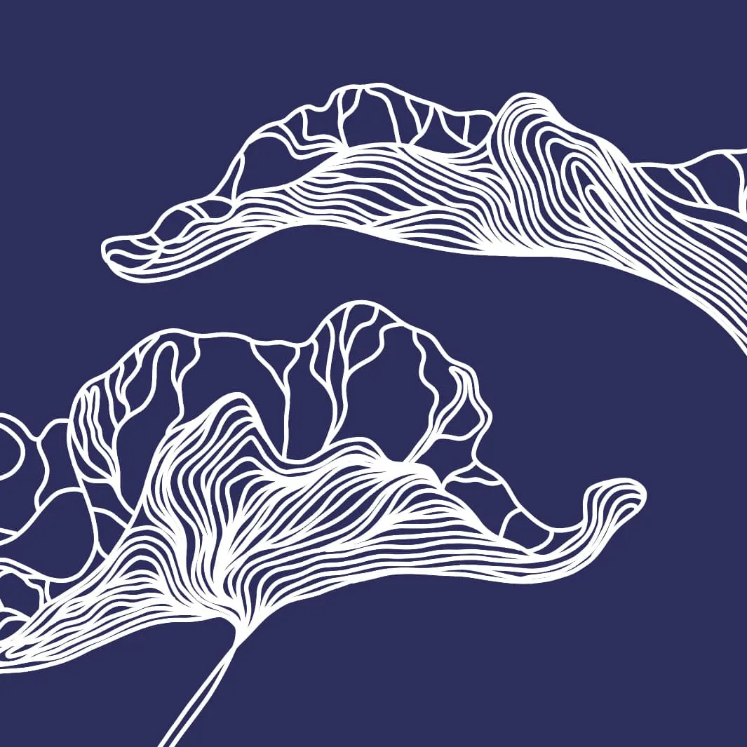 Дизайнерские фотообои рулонные Citydecor Perfect Lines 5 на флизелиновой основе 400x260 см