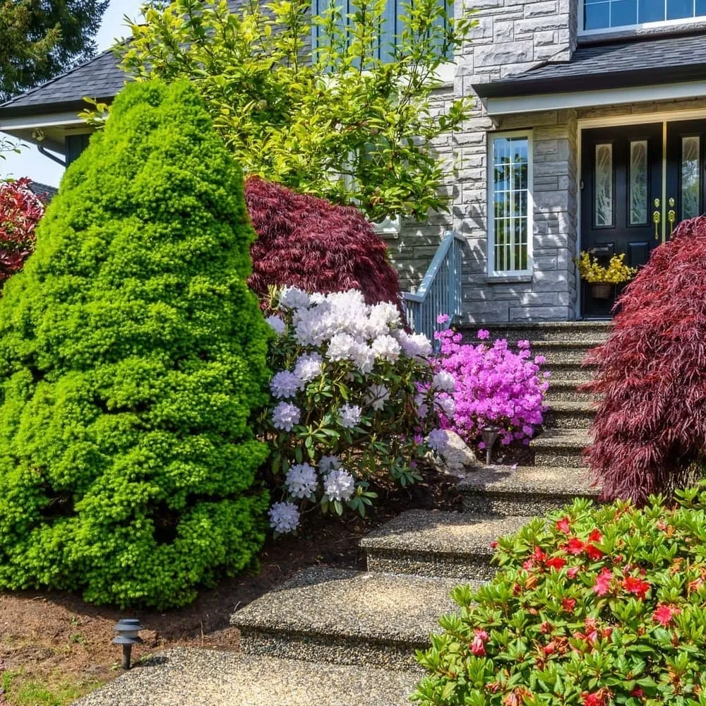 Бесшовные фотообои Citydecor Природа 101 на флизелиновой основе 400x270 см