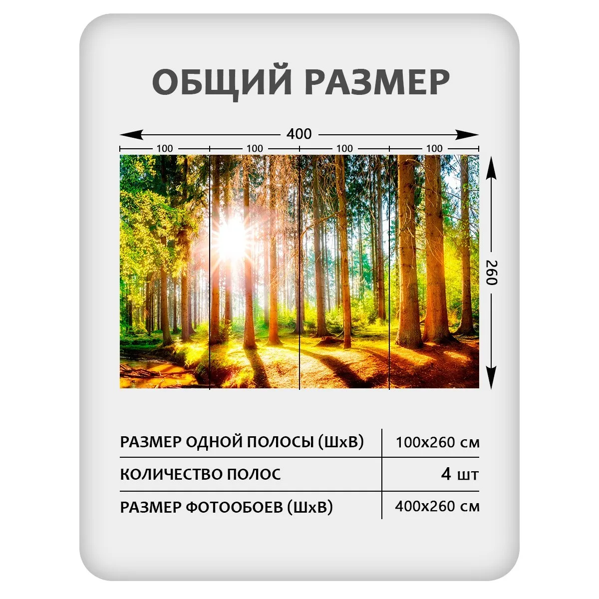 Фотообои рулонные Citydecor Природа 149 на флизелиновой основе 400x260 см