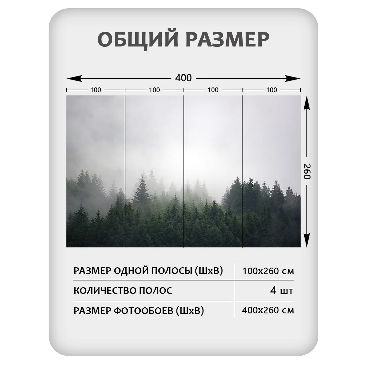 Фотообои рулонные Citydecor Природа 29 на флизелиновой основе 400x260 см