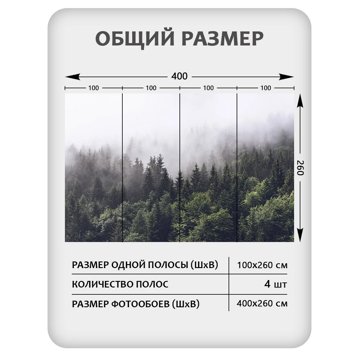 Фотообои рулонные Citydecor Природа 32 на флизелиновой основе 400x260 см