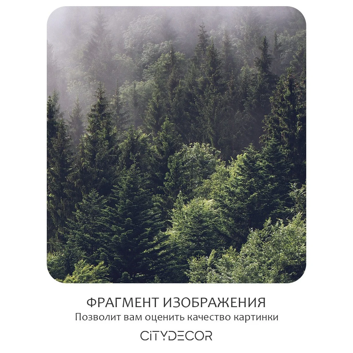 Фотообои рулонные Citydecor Природа 32 на флизелиновой основе 400x260 см
