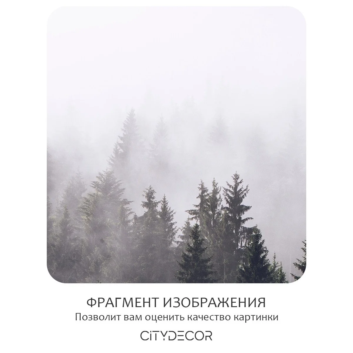 Фотообои рулонные Citydecor Природа 32 на флизелиновой основе 400x260 см