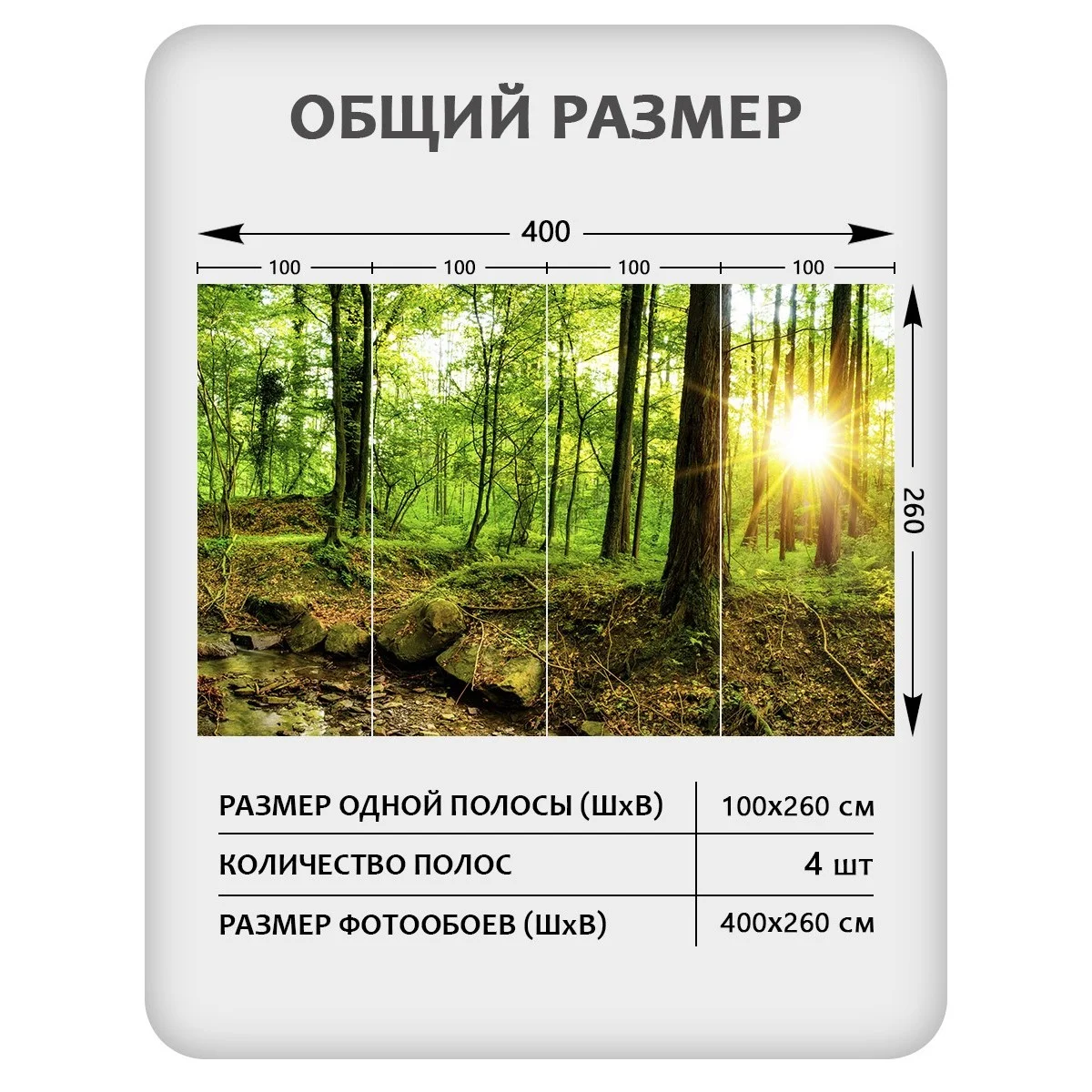 Фотообои рулонные Citydecor Природа 37 на флизелиновой основе 400x260 см