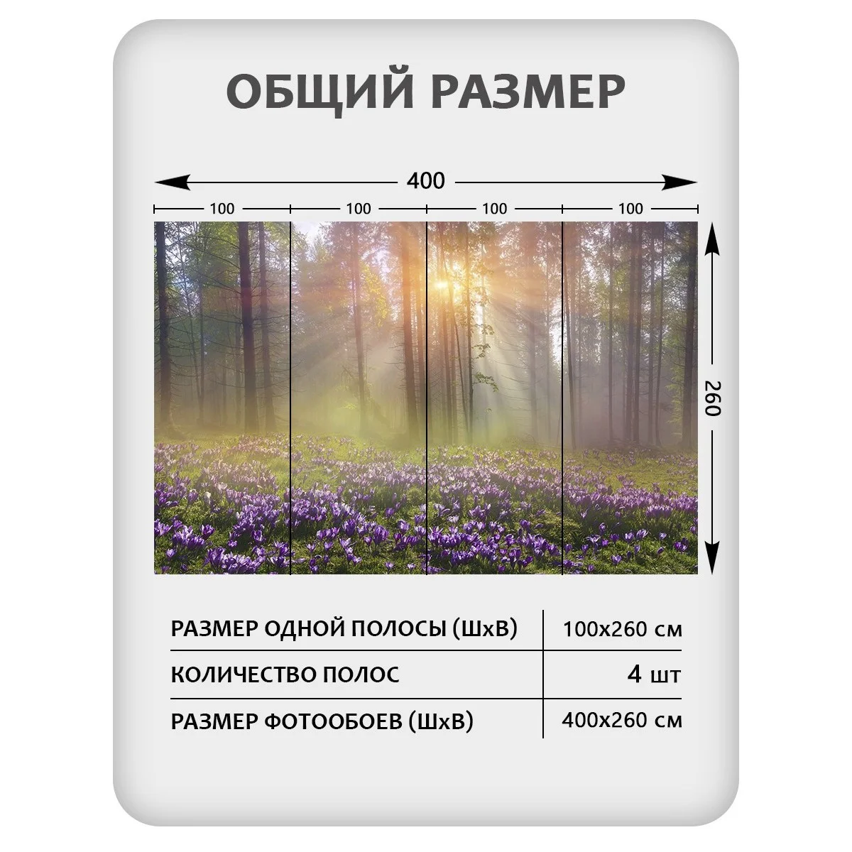 Фотообои рулонные Citydecor Природа 39 на флизелиновой основе 400x260 см