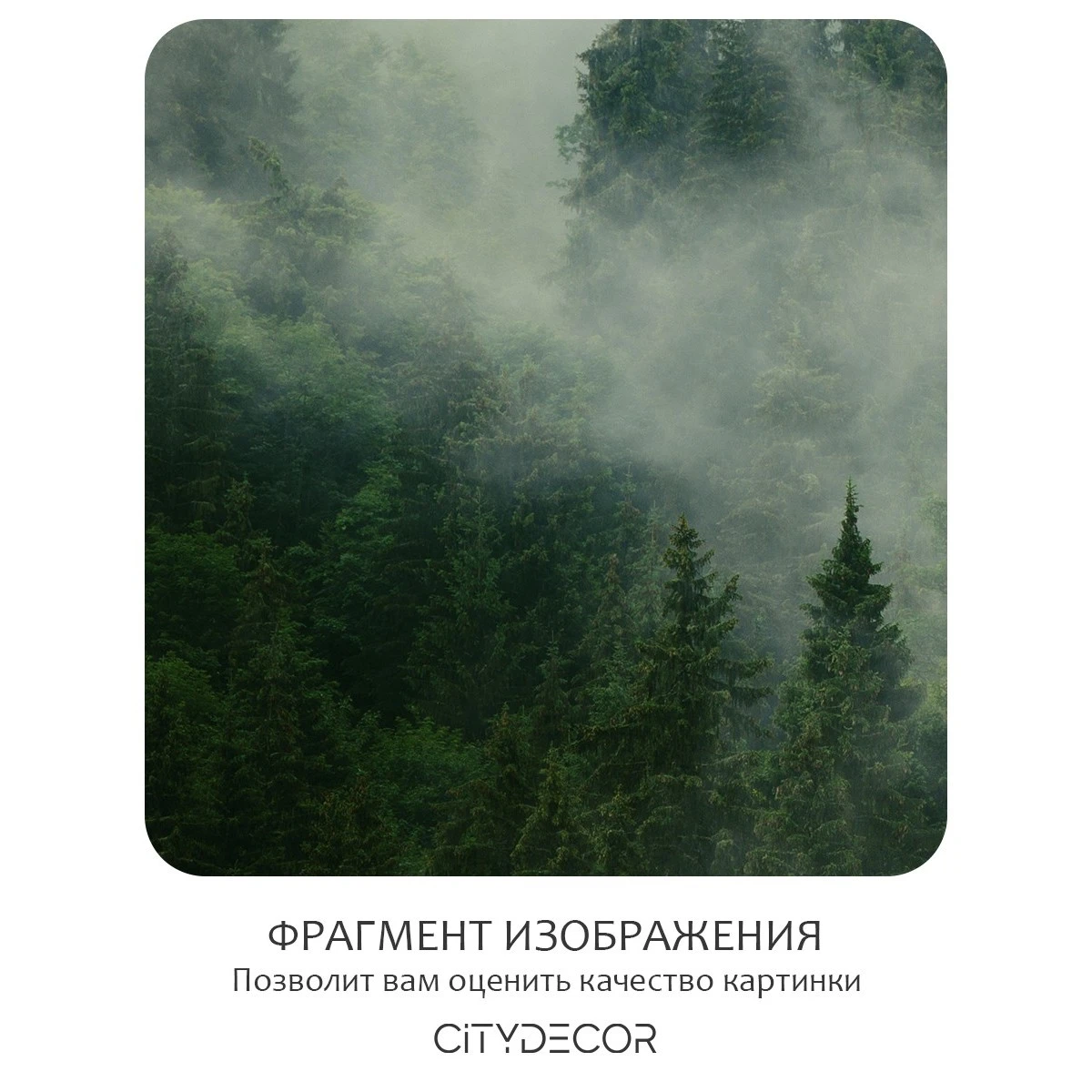 Бесшовное панно Citydecor Природа 3 на флизелиновой основе 400x270 см