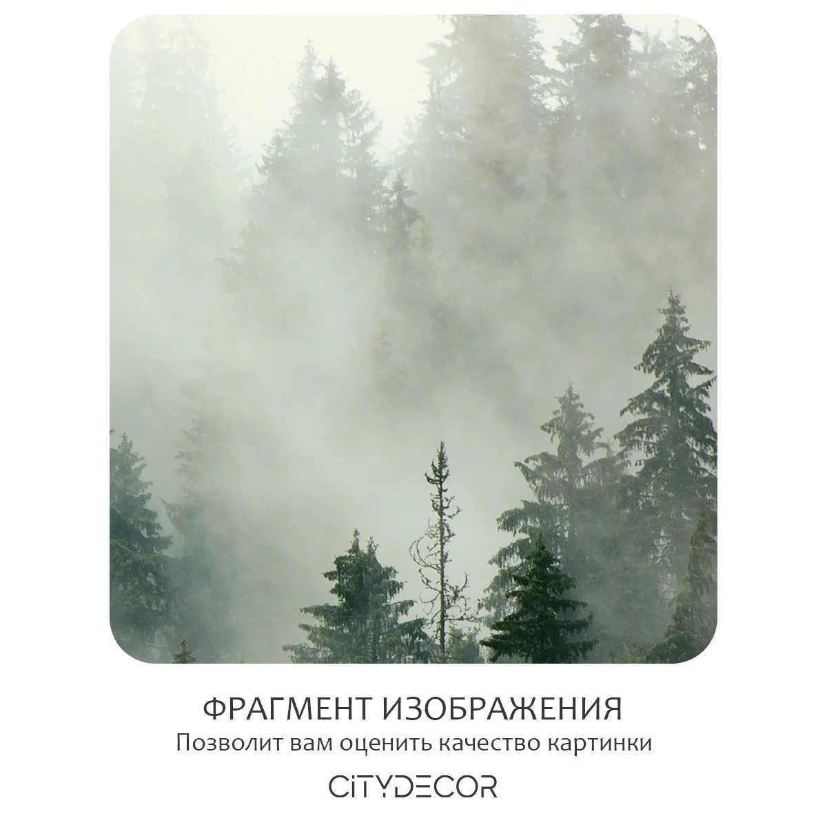 Бесшовное панно Citydecor Природа 3 на флизелиновой основе 400x270 см
