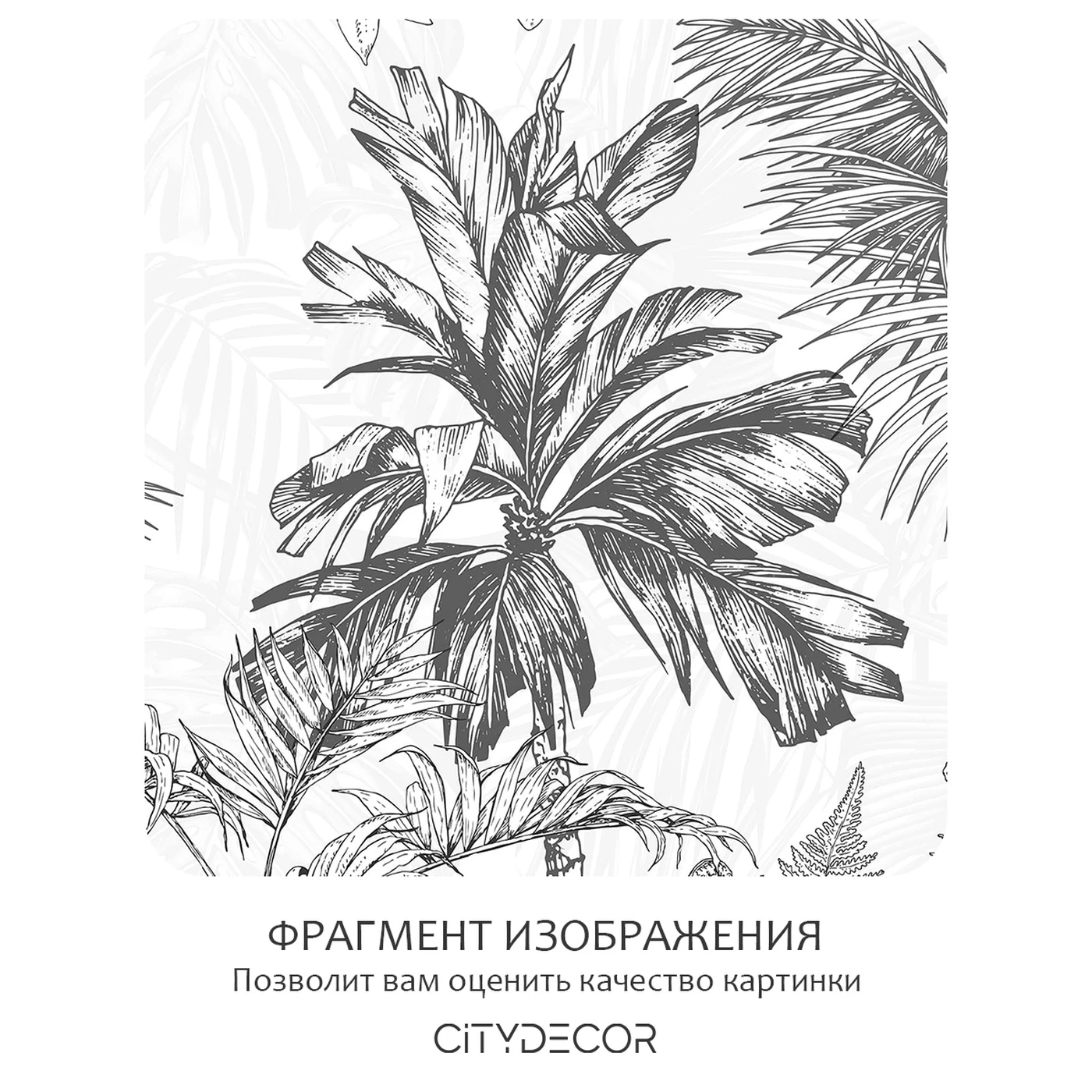 Бесшовное панно Citydecor Знойные тропики 19 на флизелиновой основе 400x270 см