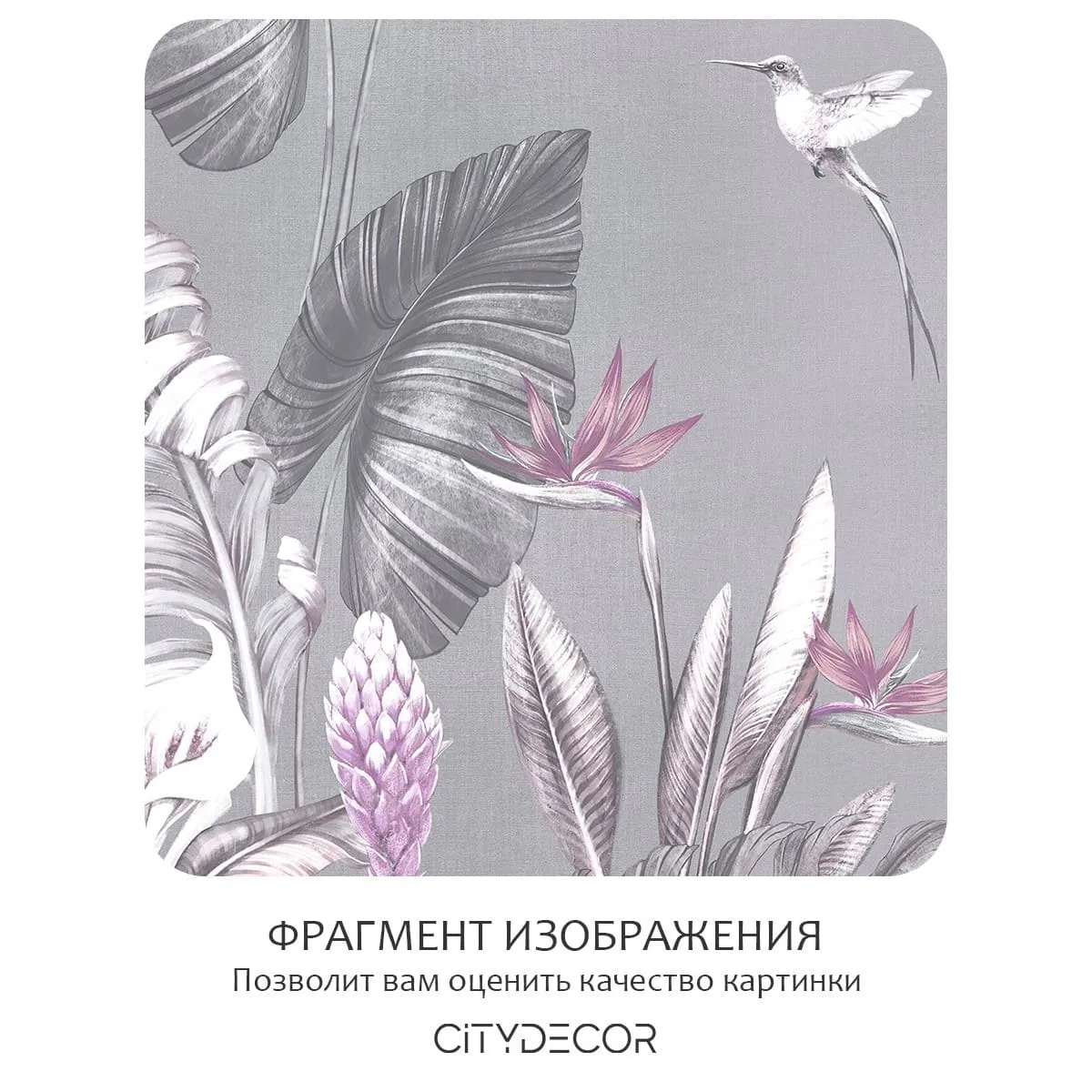 Фотообои рулонные Citydecor Знойные тропики 38 на флизелиновой основе 400x260 см