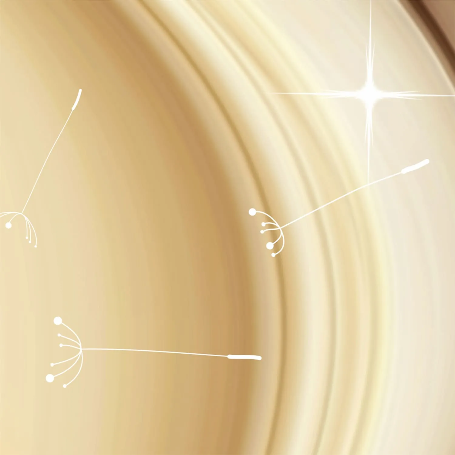 Фотообои рулонные Citydecor Цветочная абстракция 4 на флизелиновой основе 500x254 см