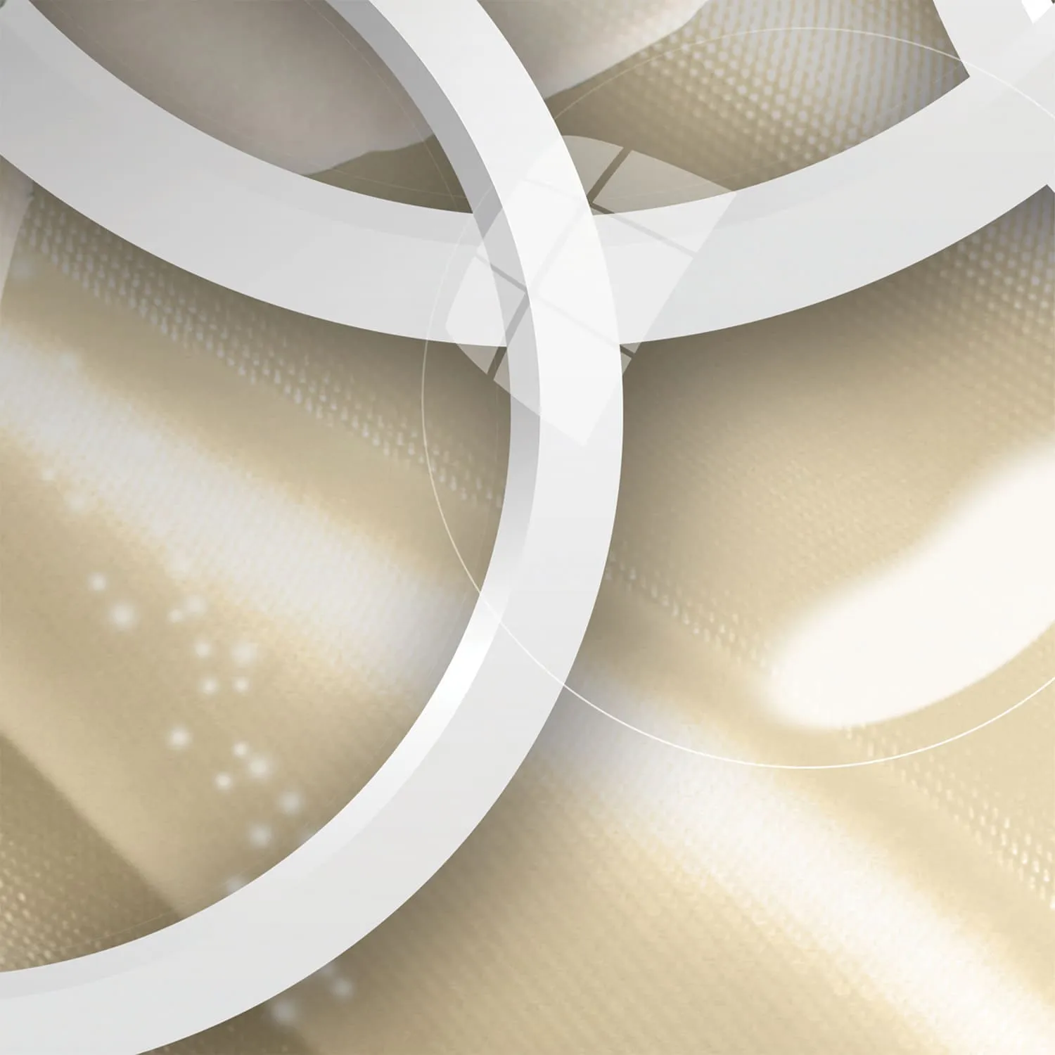 Фотообои рулонные Citydecor Цветочный декор 7 3D на флизелиновой основе 500x254 см