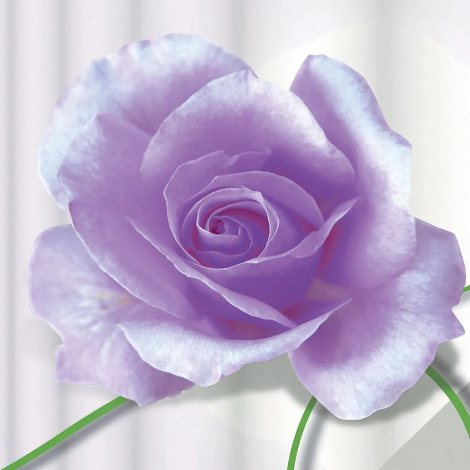 Фотообои рулонные Citydecor Цветочный декор 8 3D на флизелиновой основе 500x254 см