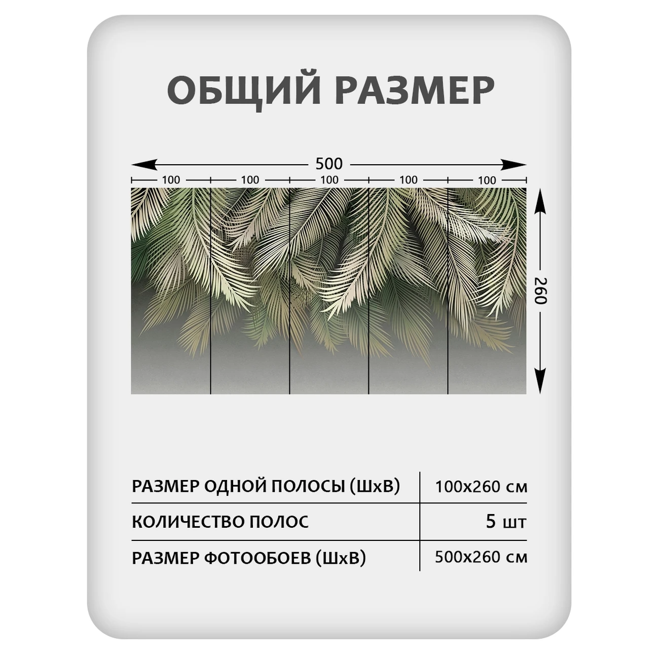 Фотообои рулонные Citydecor Пальмовые листья 84 на флизелиновой основе 500x260 см