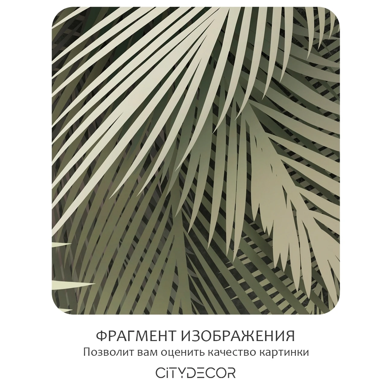 Фотообои рулонные Citydecor Пальмовые листья 84 на флизелиновой основе 500x260 см