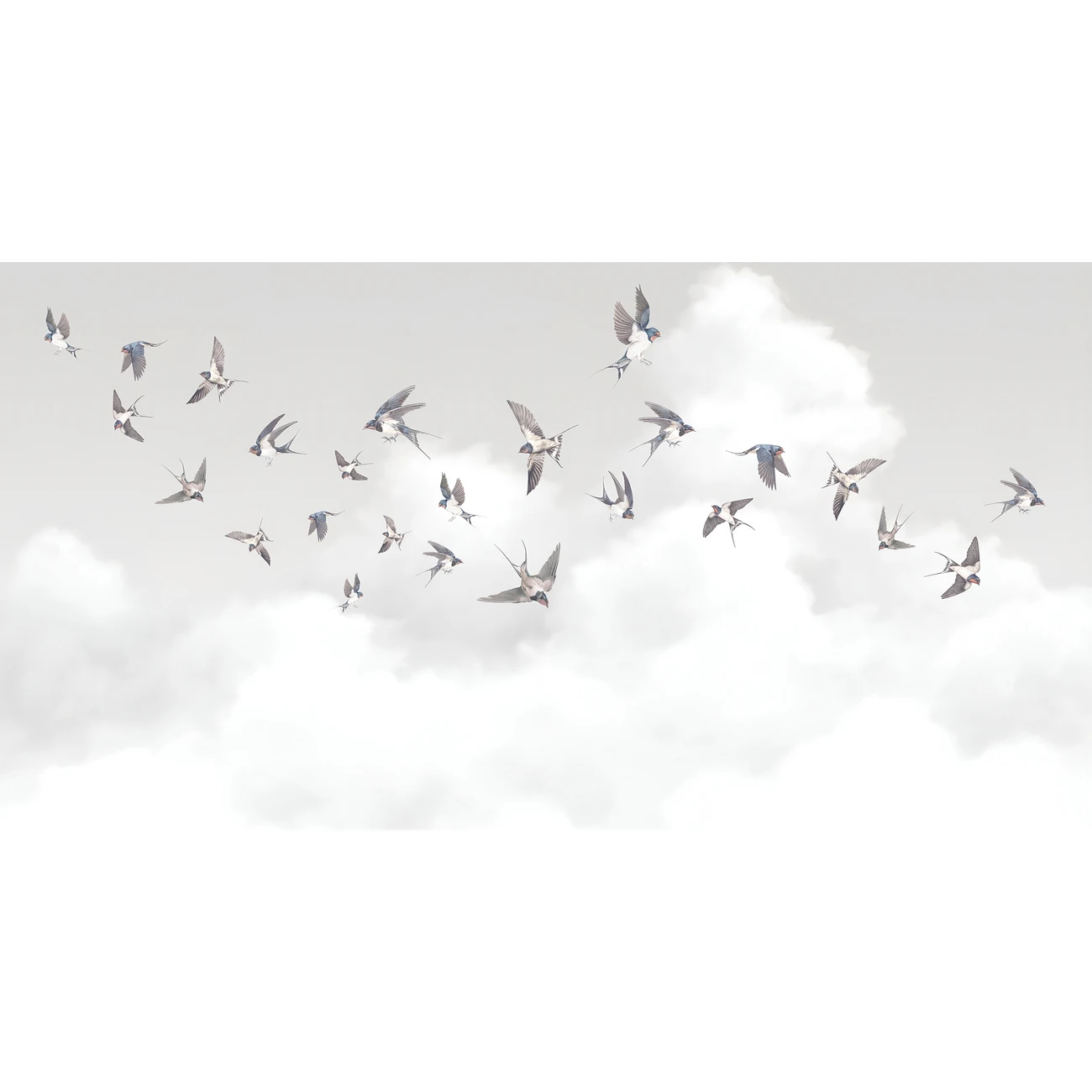 Фотообои рулонные Citydecor Air 10 на флизелиновой основе 500x260 см