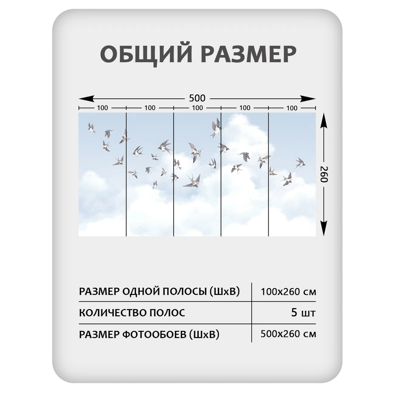 Фотообои рулонные Citydecor Air 11 на флизелиновой основе 500x260 см