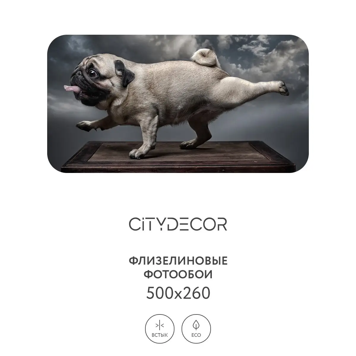 Фотообои рулонные Citydecor Животные и Птицы 13 на флизелиновой основе 500x260 см