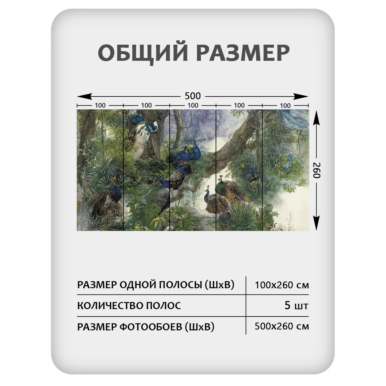 Фотообои рулонные Citydecor Животные и Птицы 57 на флизелиновой основе 500x260 см