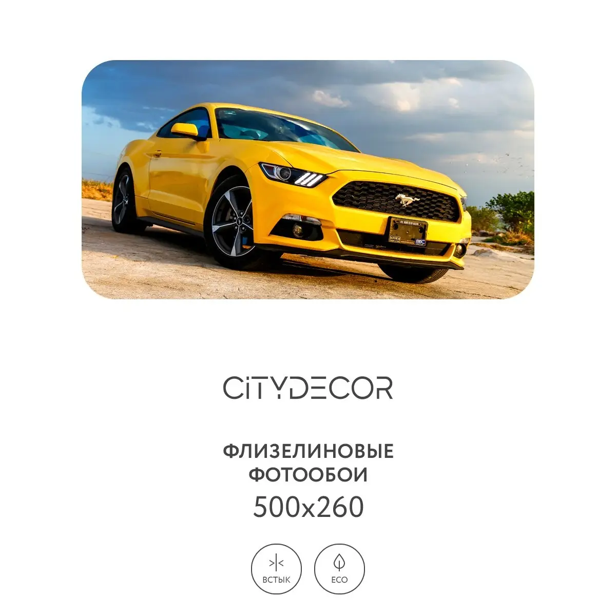 Фотообои рулонные Citydecor Транспорт 24 на флизелиновой основе 500x260 см