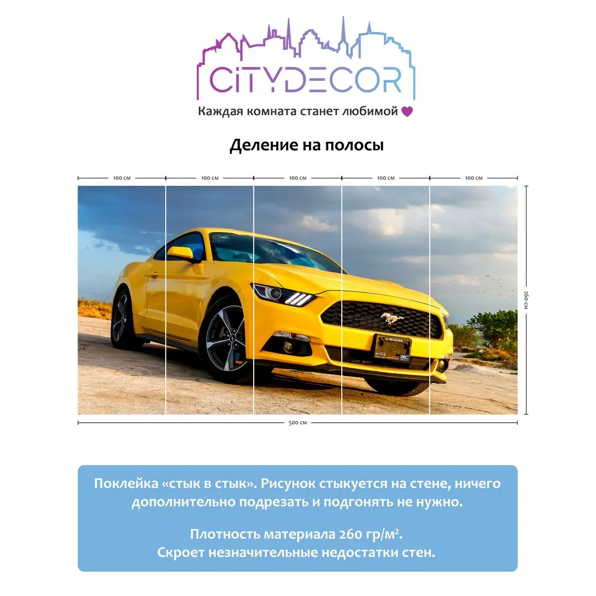 Фотообои рулонные Citydecor Транспорт 24 на флизелиновой основе 500x260 см