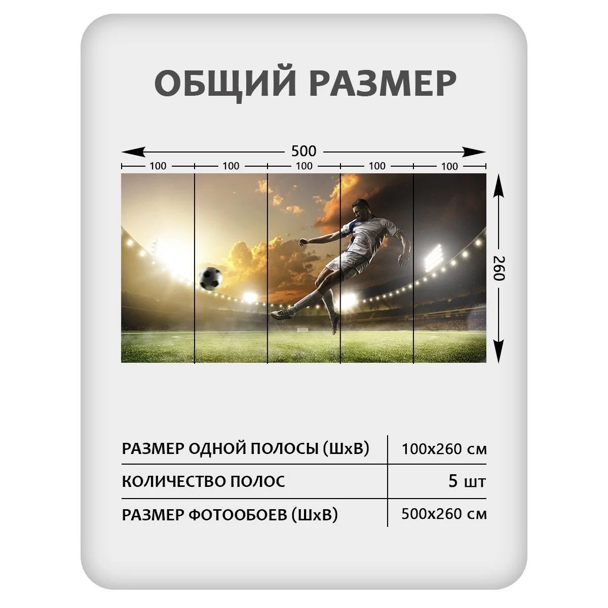 Фотообои рулонные Citydecor Детская 114 на флизелиновой основе 500x260 см