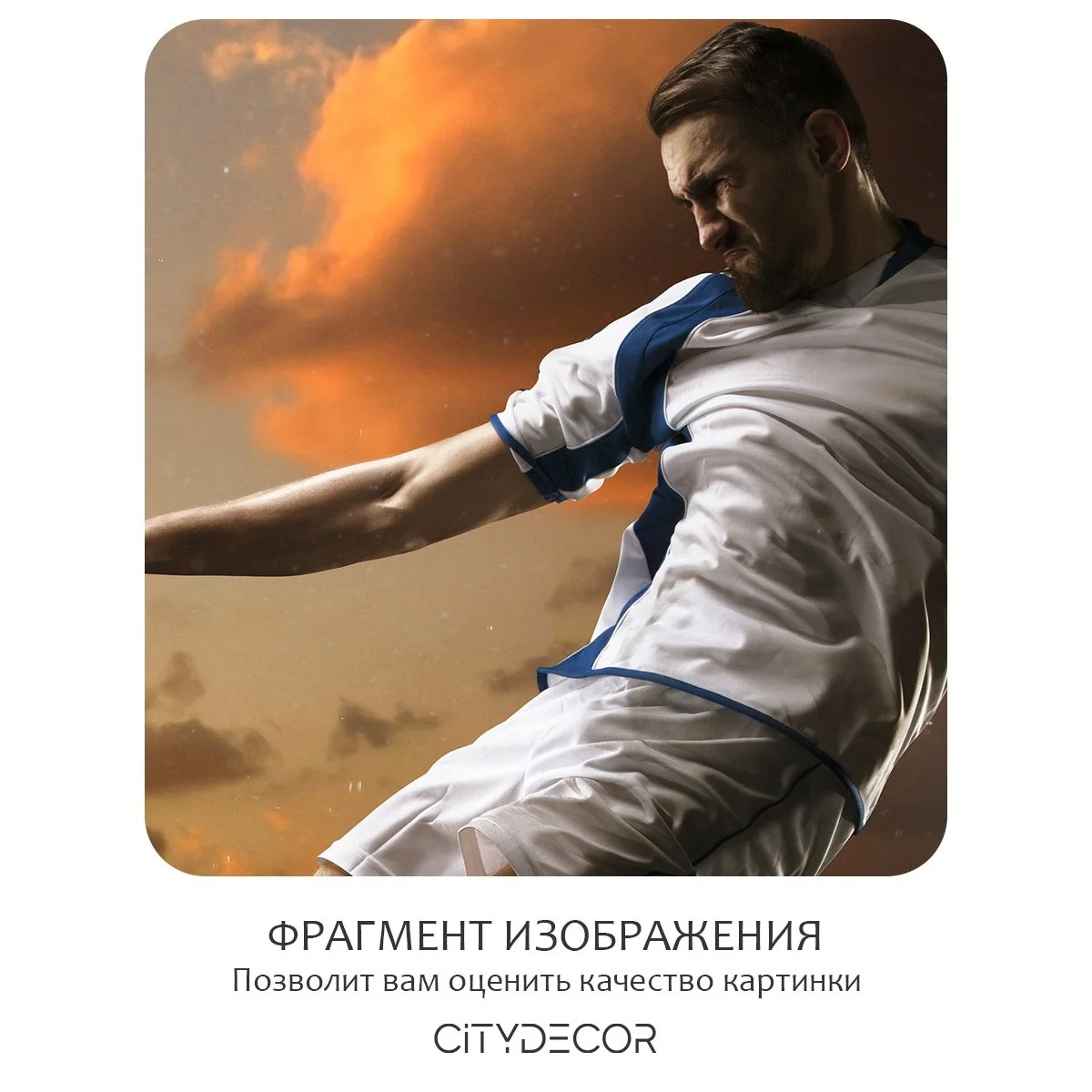 Фотообои рулонные Citydecor Детская 114 на флизелиновой основе 500x260 см