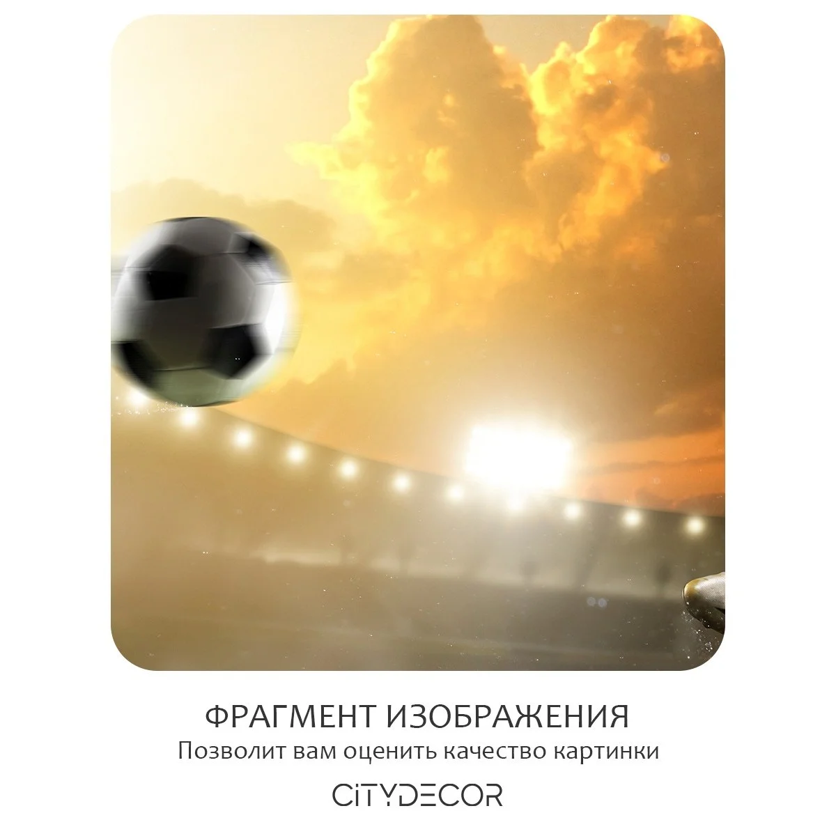 Фотообои рулонные Citydecor Детская 114 на флизелиновой основе 500x260 см
