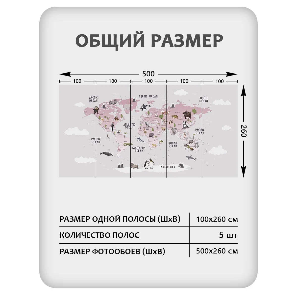 Фотообои рулонные Citydecor Детская (карта мира) 172 на флизелиновой основе 500x260 см