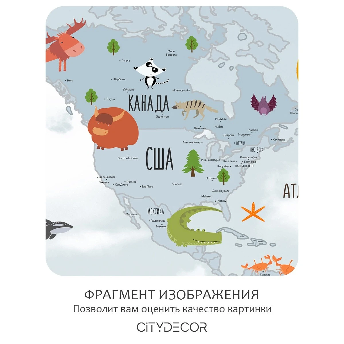 Бесшовное панно Citydecor Детская (карта мира) 64 на флизелиновой основе 500x270 см