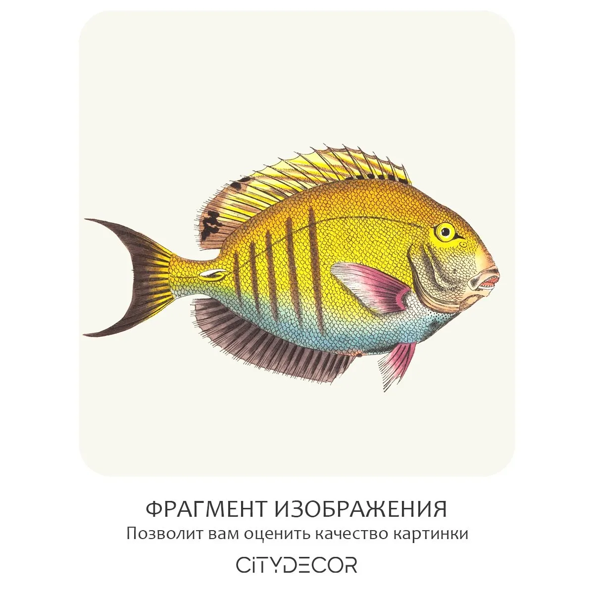 Фотообои рулонные Citydecor Dreamy 3 на флизелиновой основе 500x260 см