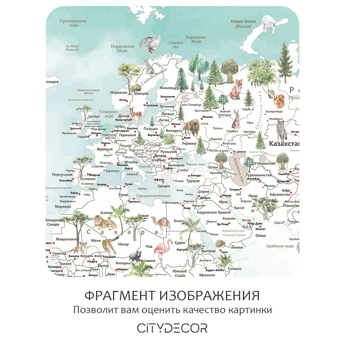 Фотообои рулонные Citydecor Джунгли зовут 18 на флизелиновой основе 500x260 см