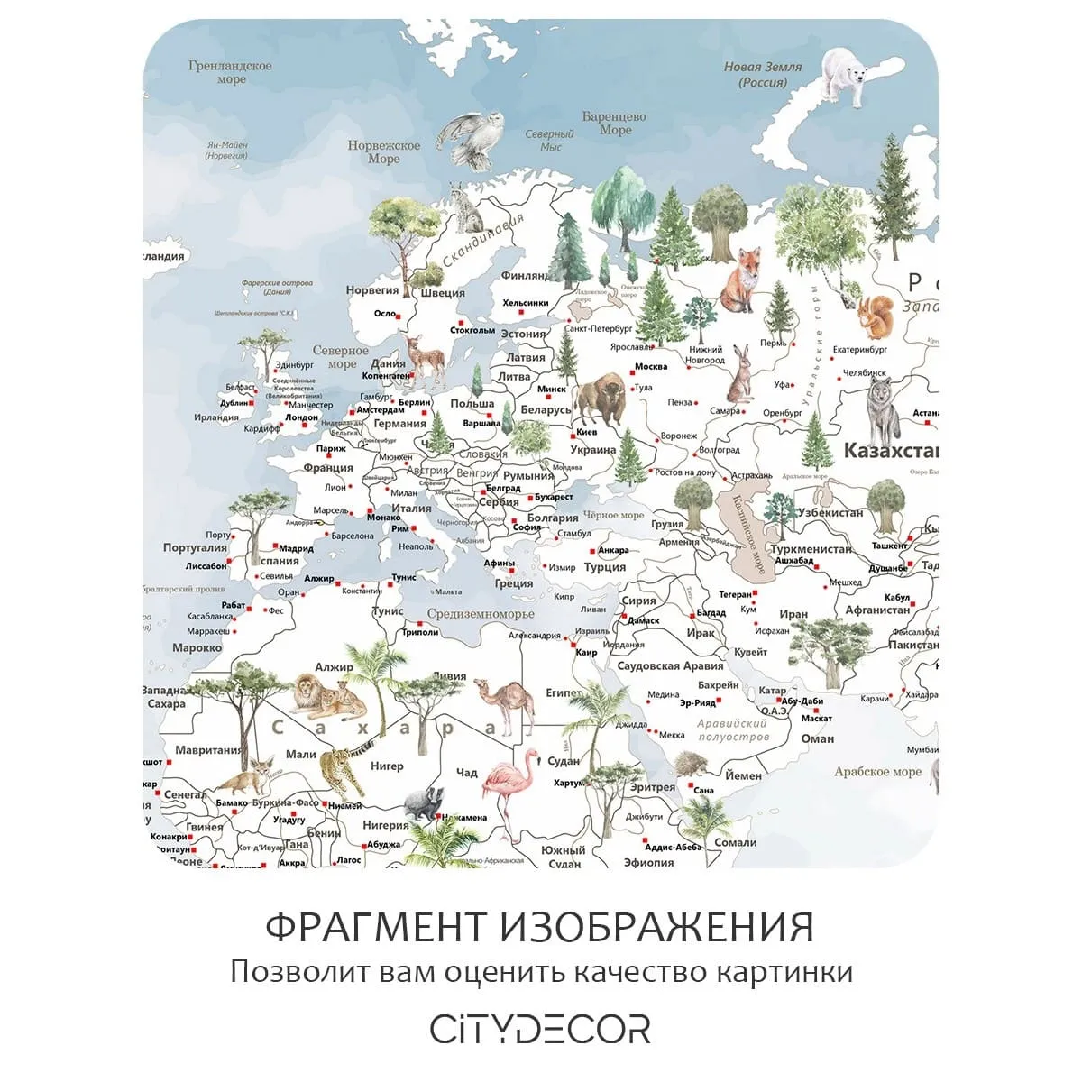 Фотообои рулонные Citydecor Джунгли зовут 19 на флизелиновой основе 500x260 см