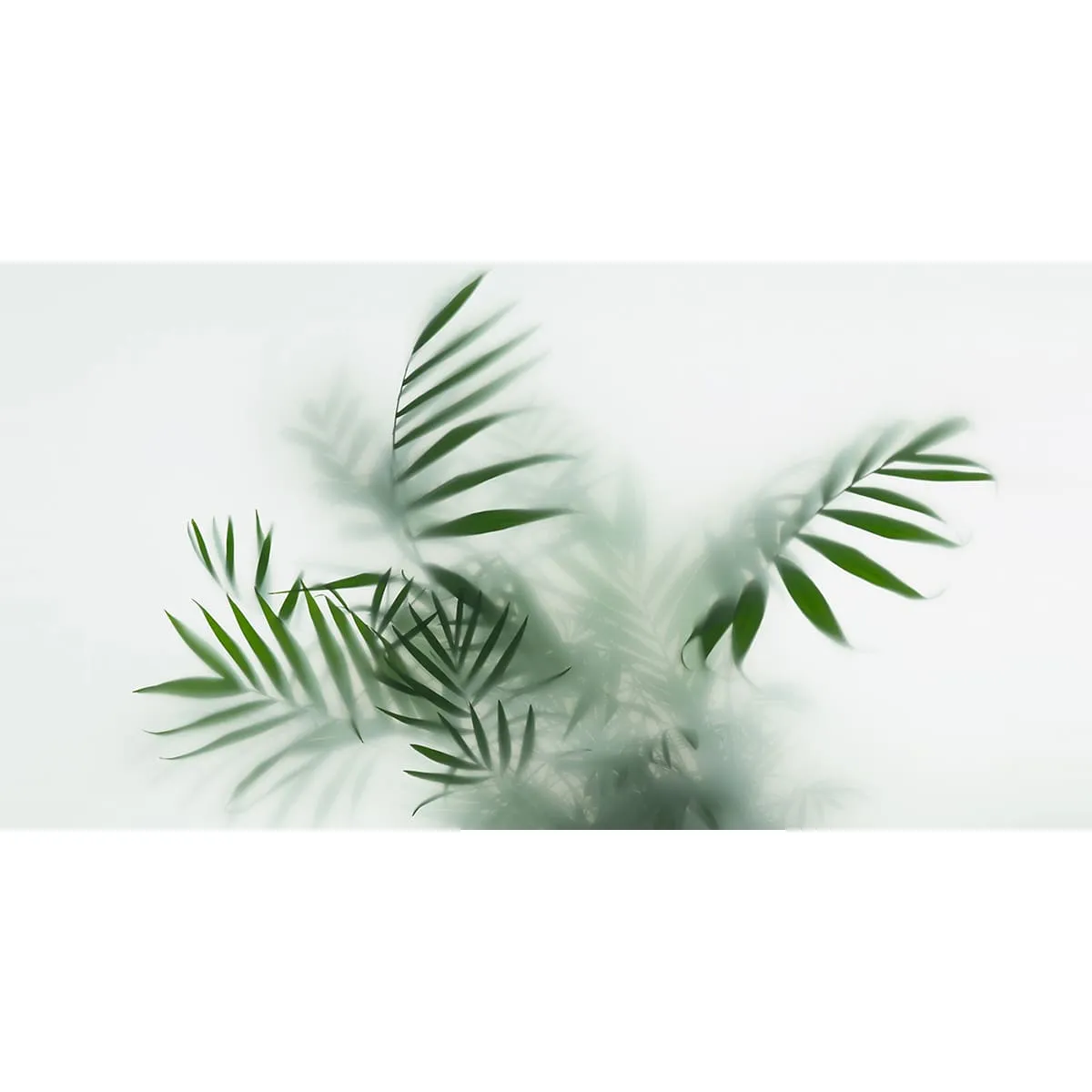 Бесшовное панно Citydecor Цветы и Растения 155 на флизелиновой основе 500x270 см