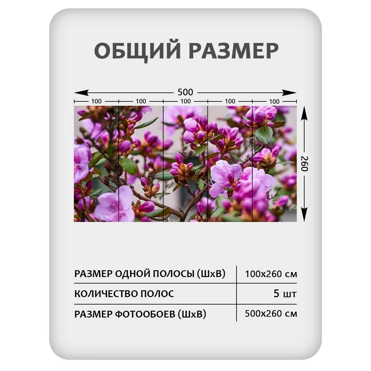 Фотообои рулонные Citydecor Цветы и Растения 204 на флизелиновой основе 500x260 см