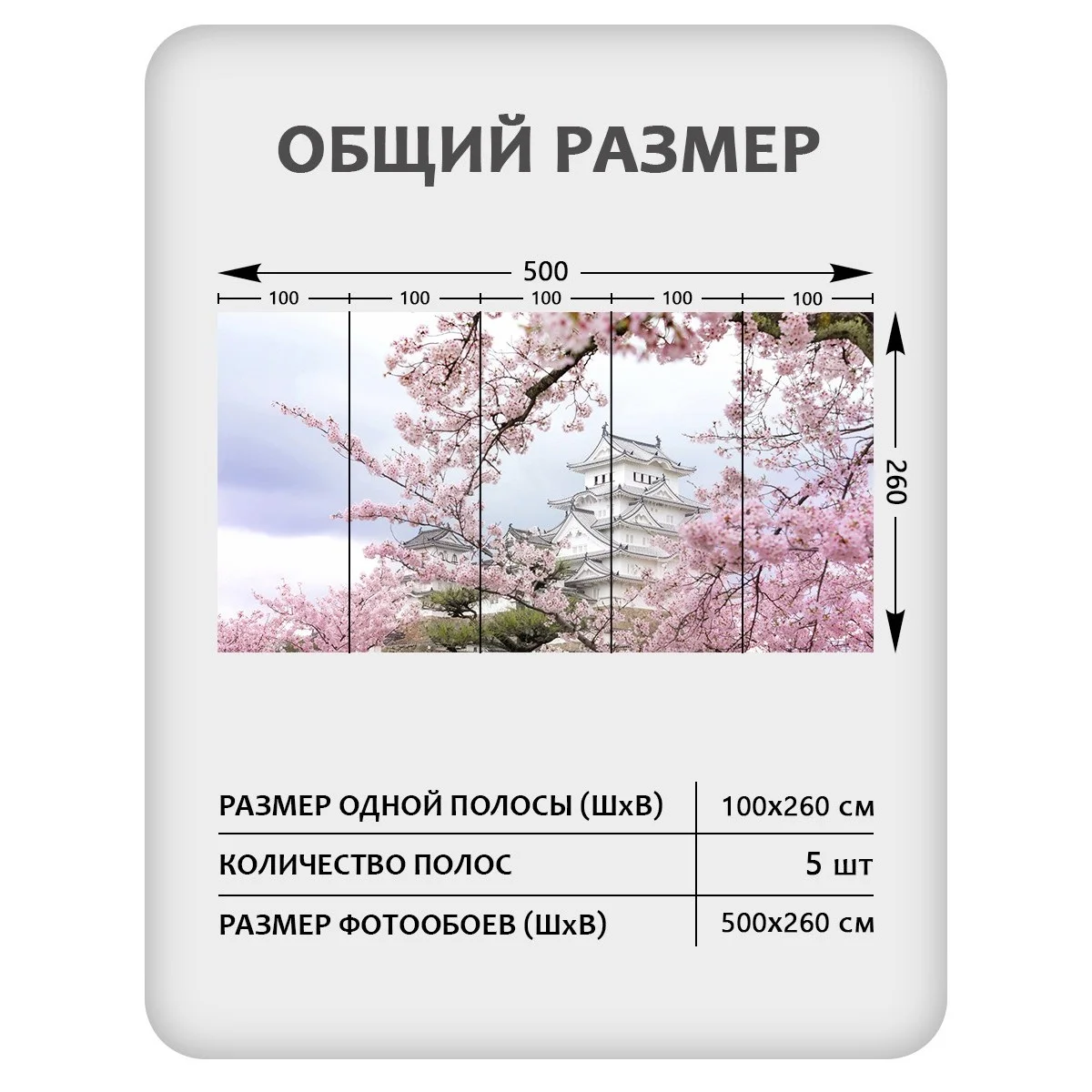 Фотообои рулонные Citydecor Цветы и Растения 33 на флизелиновой основе 500x260 см