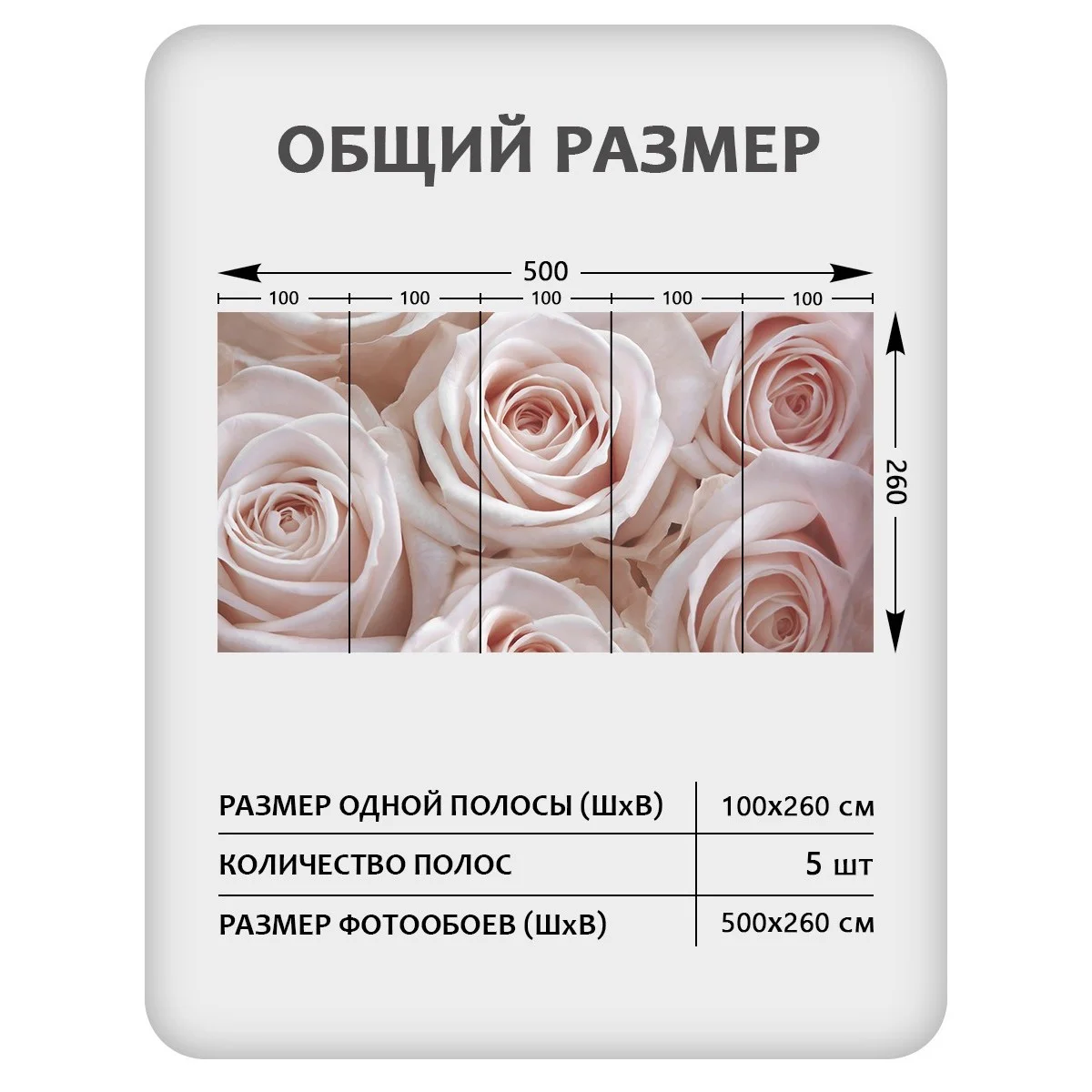 Фотообои рулонные Citydecor Цветы и Растения 36 на флизелиновой основе 500x260 см