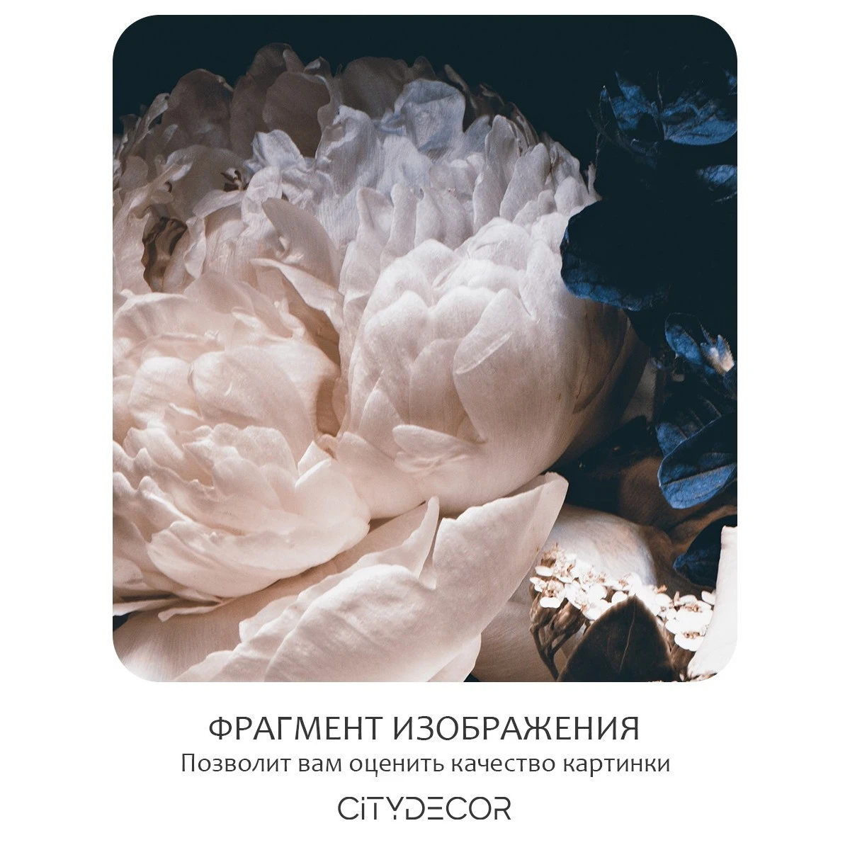 Бесшовное панно Citydecor Цветы и Растения 3 на флизелиновой основе 500x270 см