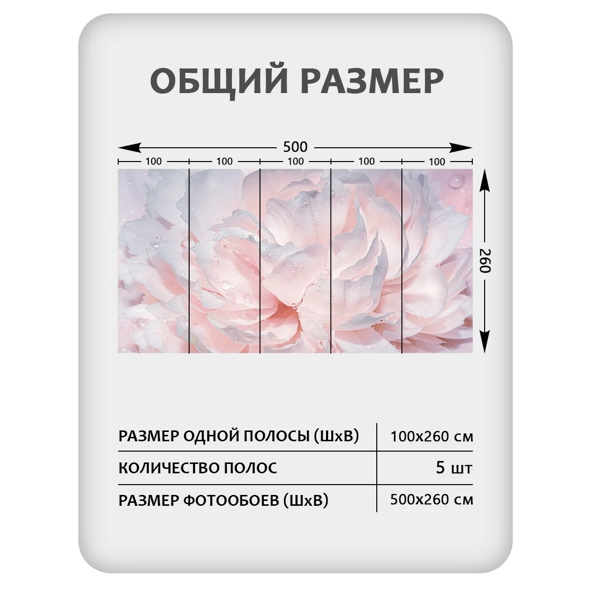 Фотообои рулонные Citydecor Цветы и Растения 40 на флизелиновой основе 500x260 см