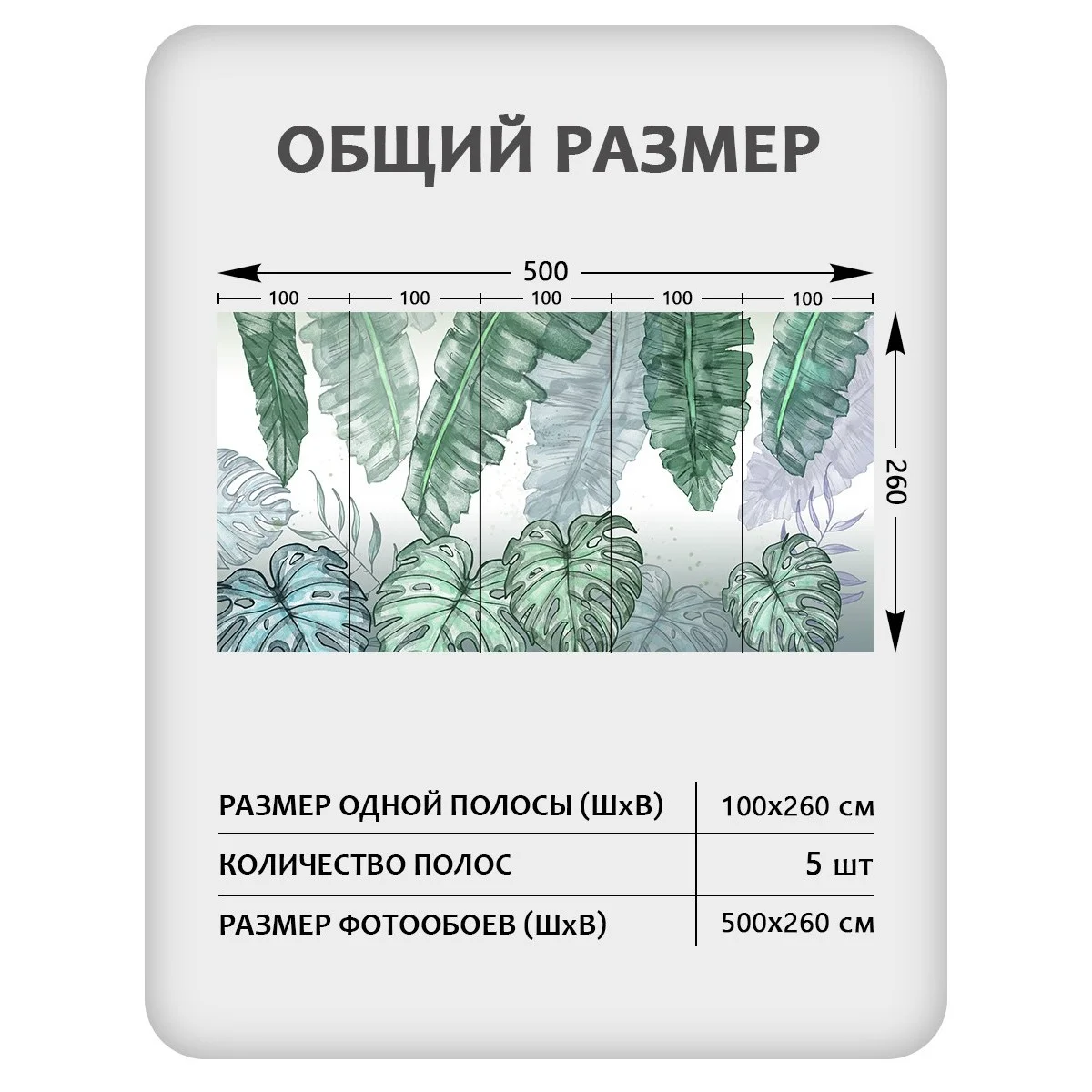 Фотообои рулонные Citydecor Цветы и Растения 41 на флизелиновой основе 500x260 см