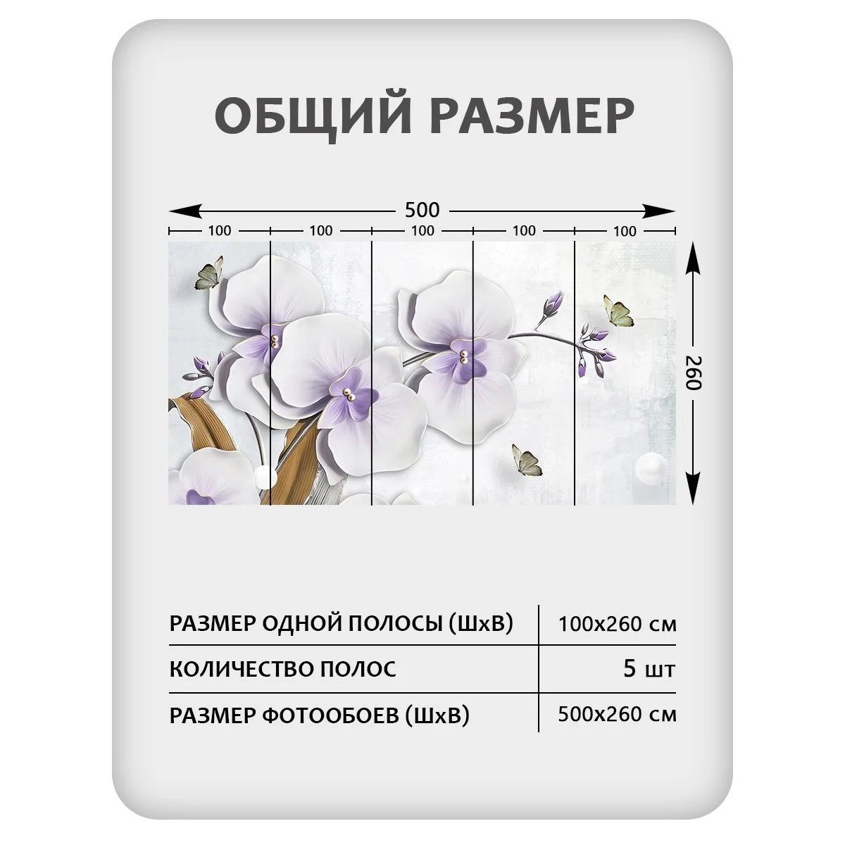 Фотообои рулонные Citydecor Цветы и Растения 42 на флизелиновой основе 500x260 см