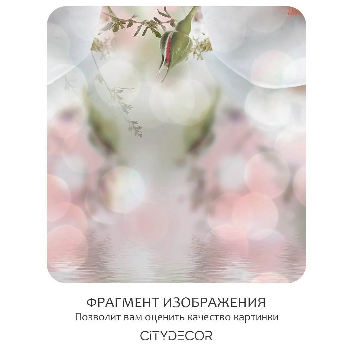 Фотообои рулонные Citydecor Цветы и Растения 48 на флизелиновой основе 500x260 см